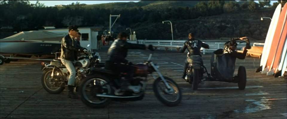 Triumph unknown