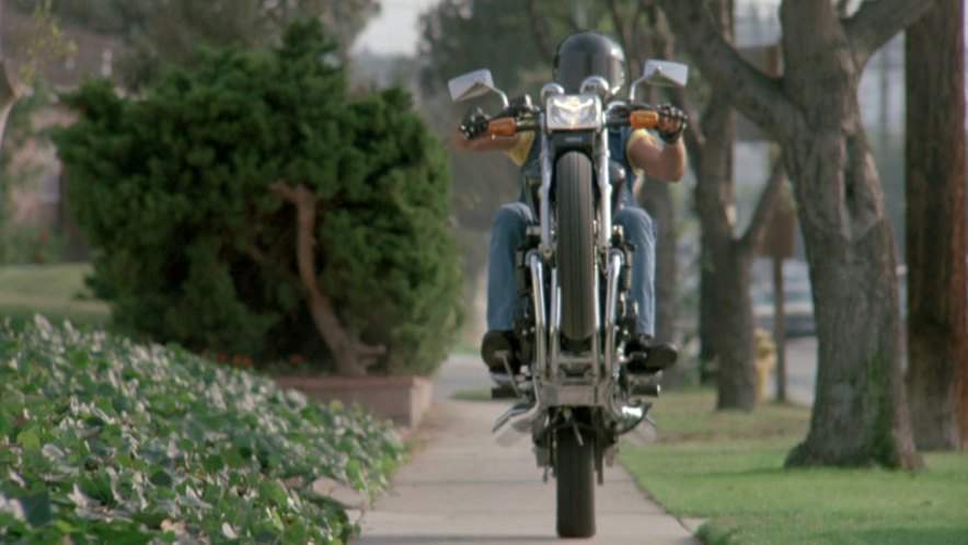 Yamaha YX 600 Radian