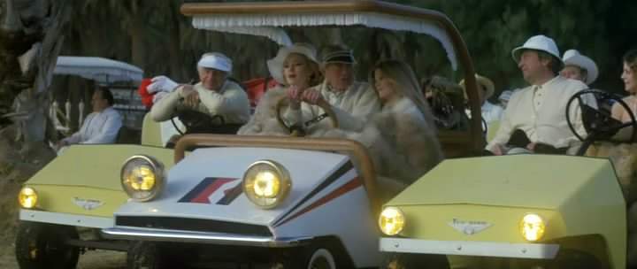 Taylor-Dunn Tee-Bird