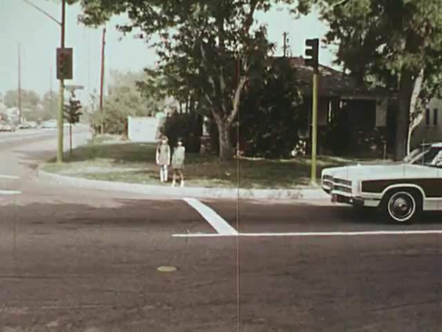Ford LTD Country Squire
