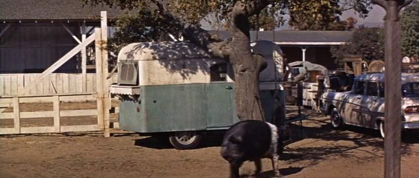 Ford Country Sedan