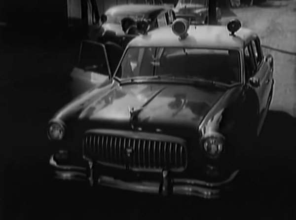 Nash Ambassador