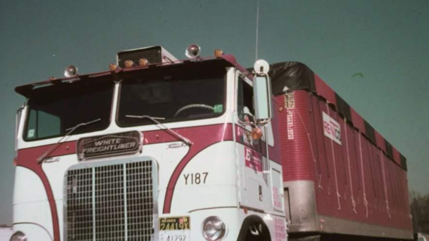 White-Freightliner WFT-7564T