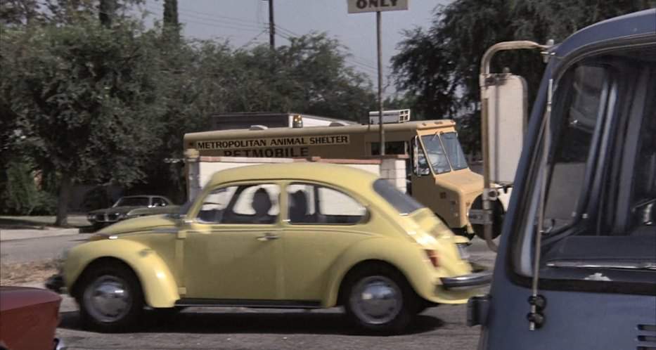 Volkswagen Super Beetle
