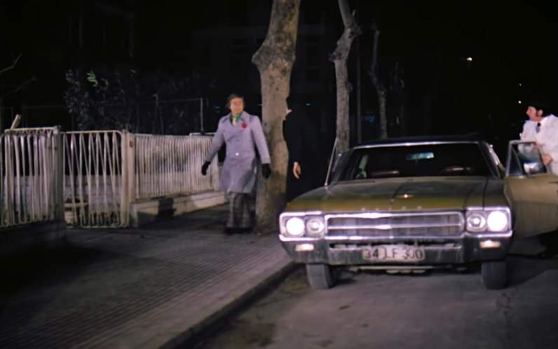 Buick Skylark Custom