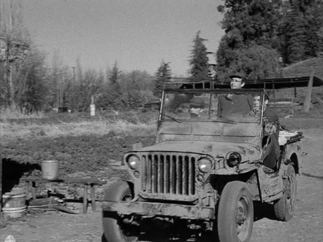 Willys MB 'Jeep'