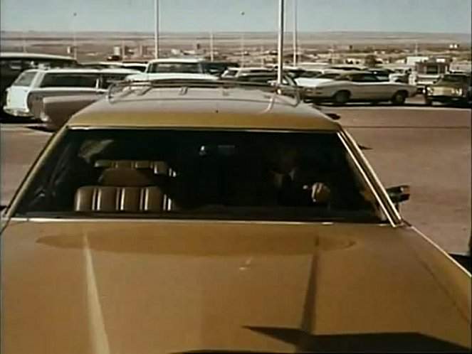 Buick Skylark Custom