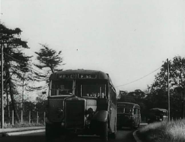 Leyland Tiger