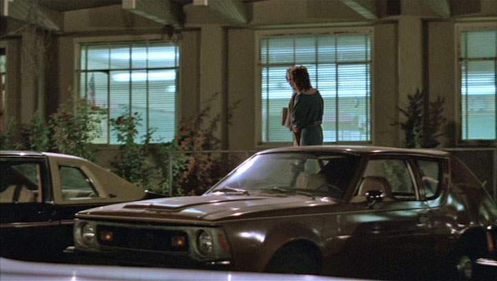 AMC Gremlin