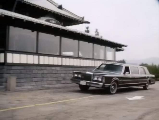 Lincoln Town Car Stretched Limousine