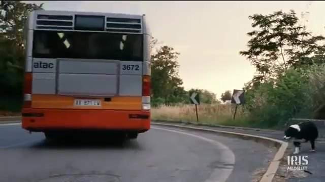 Iveco CityClass 491E.12.22