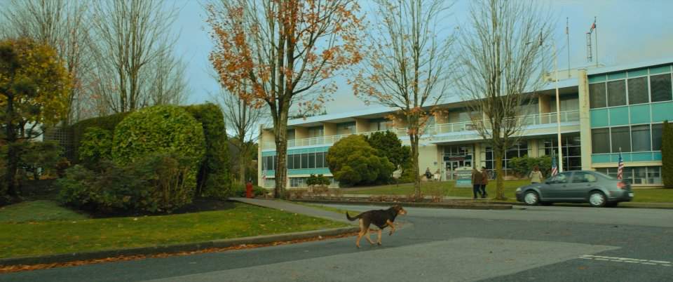 Volkswagen City Jetta IV