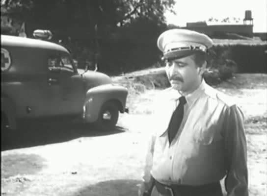 Chevrolet Advance-Design Panel