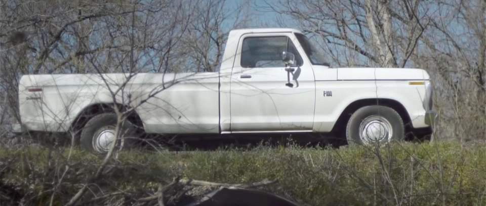 Ford F-Series