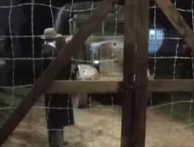 Mercedes-Benz LG3000