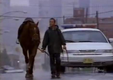 1995 Ford Crown Victoria in Flash