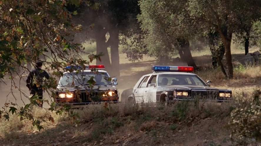 Dodge St. Regis