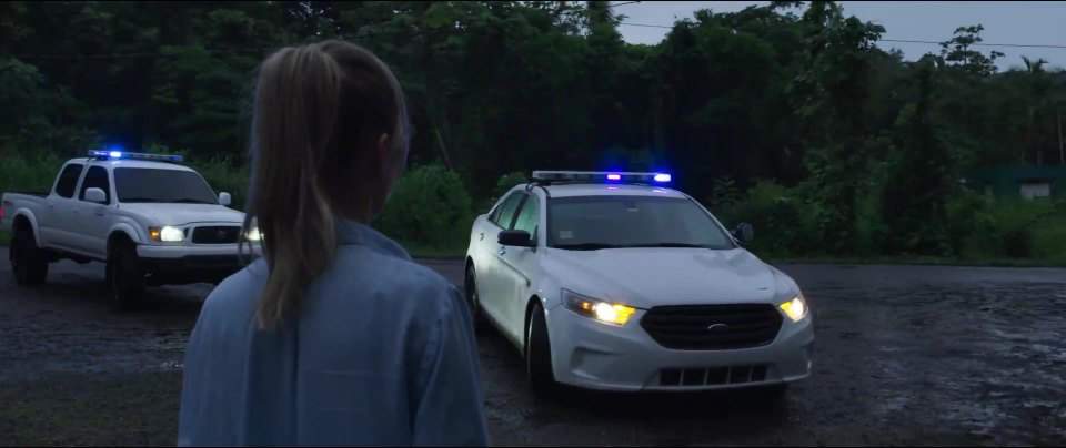 Ford Police Interceptor