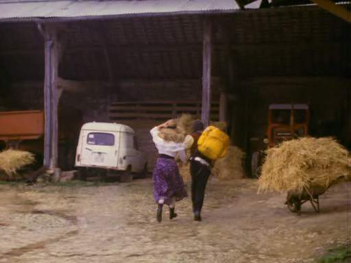 Renault 4 Fourgonnette