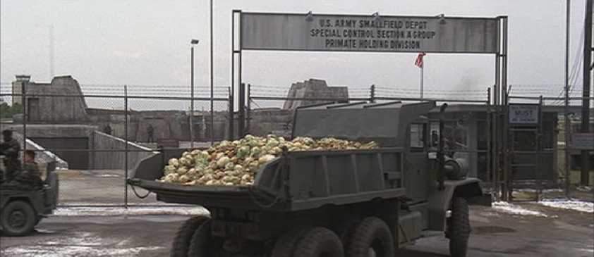 Mack M-51