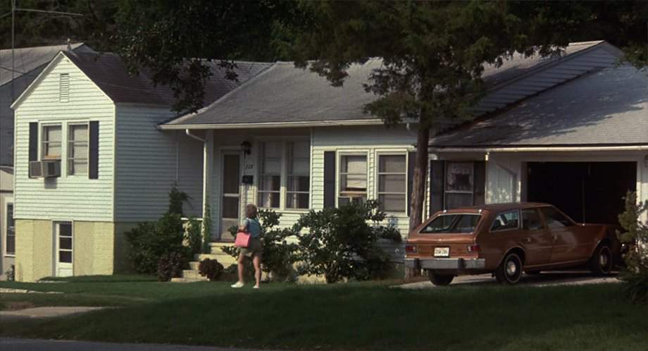 AMC Hornet Sportabout