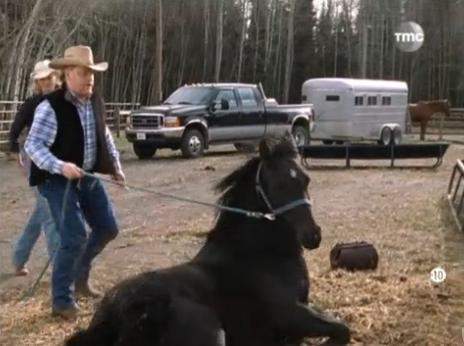 Ford F-350 Super Duty