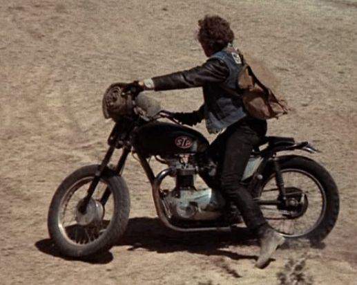 Triumph unknown