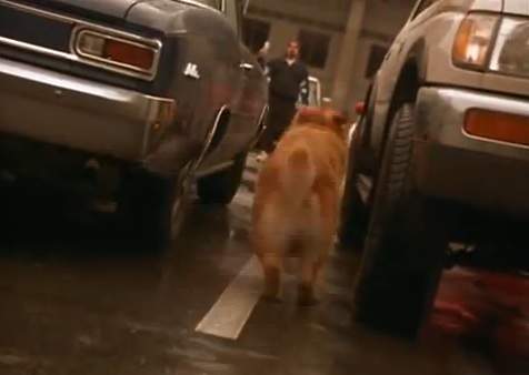 Chevrolet Chevelle Malibu