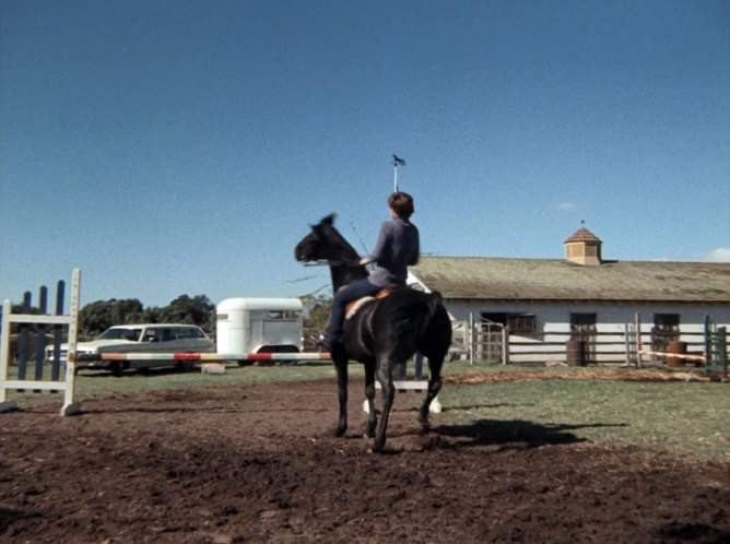 Ford Custom 500 Ranch Wagon