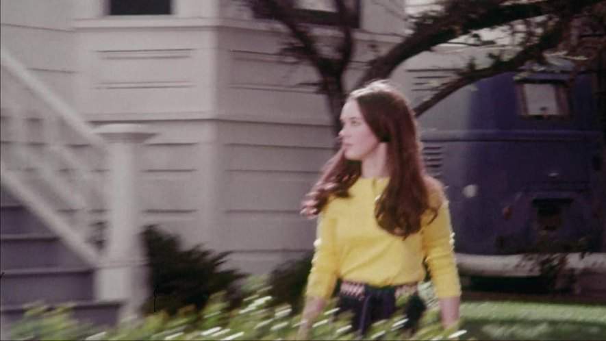 Volkswagen Panel Delivery T1