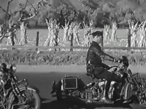 Indian Chief