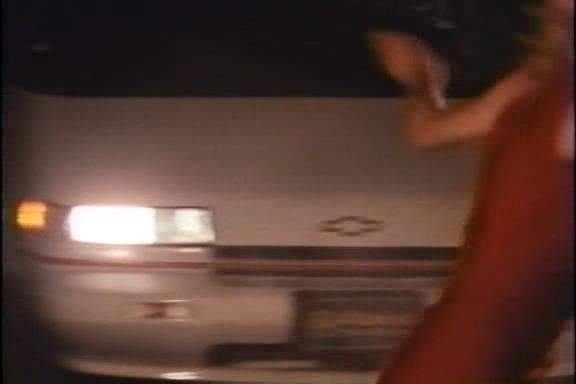 1990 Chevrolet Lumina APV in They Bite