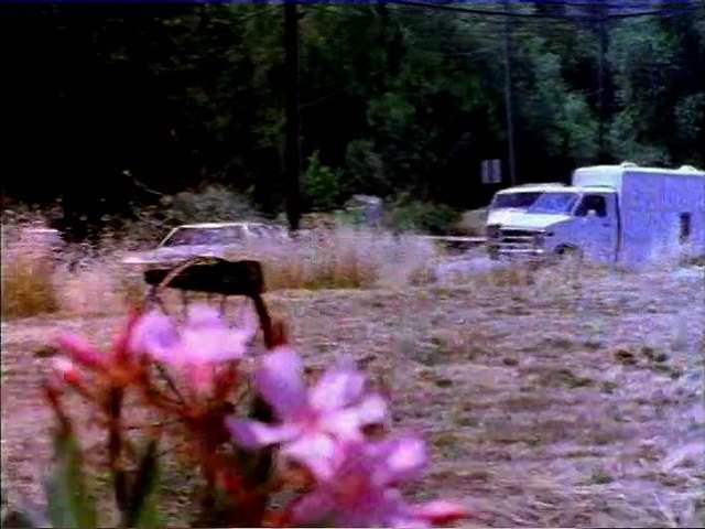Chevrolet Chevy Van
