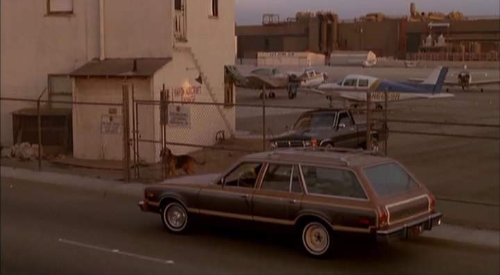 1976 Dodge Aspen Wagon in Ruby Cairo