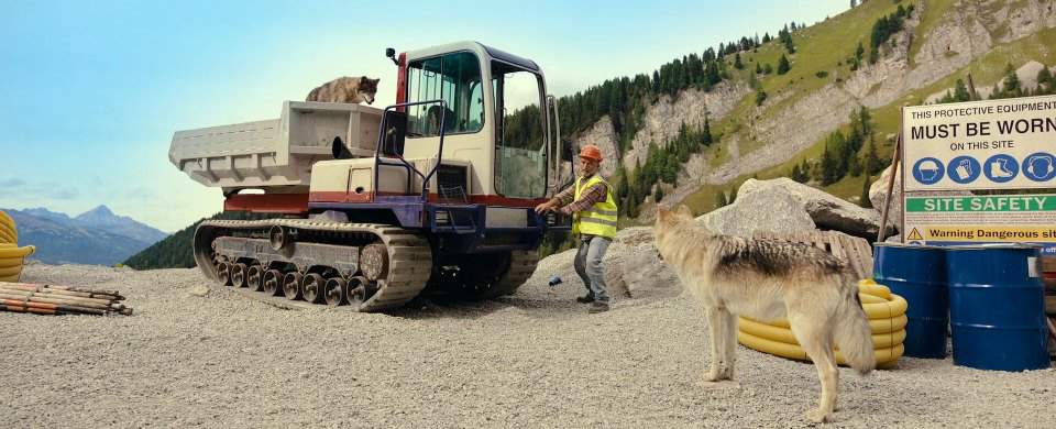 Takeuchi TC R50