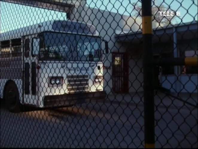 Blue Bird All American