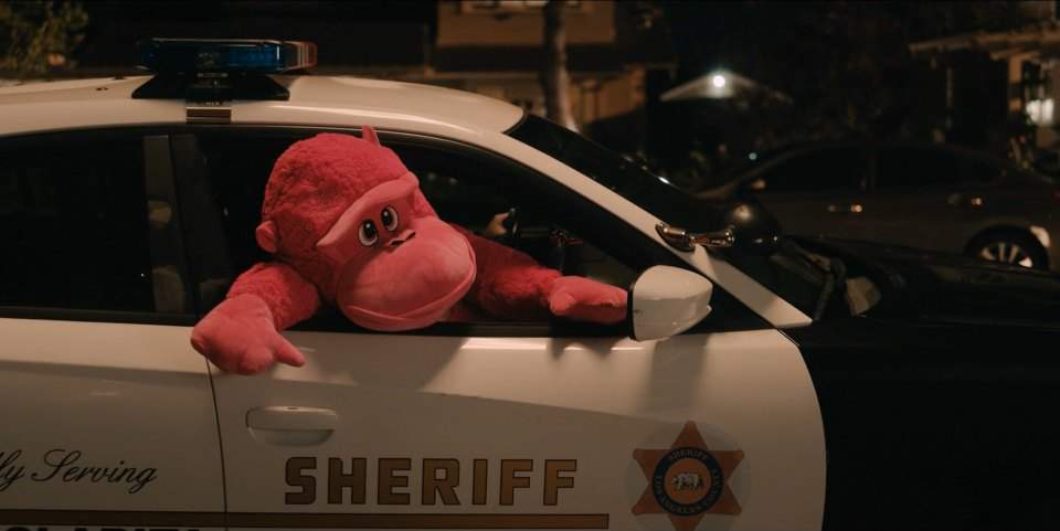 Dodge Charger Pursuit