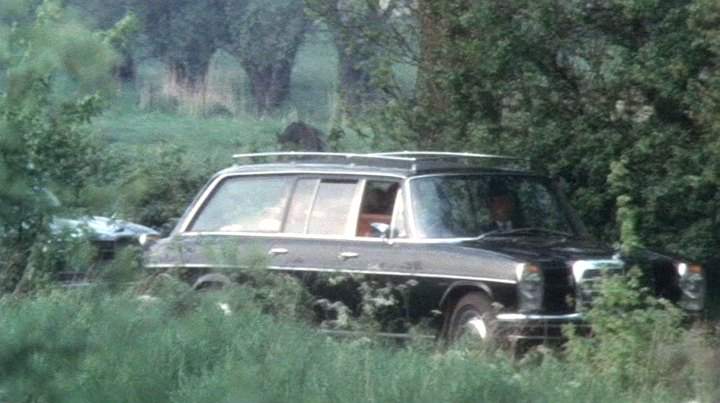 Mercedes-Benz Hearse
