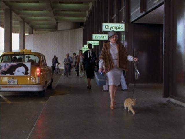 Checker Taxicab