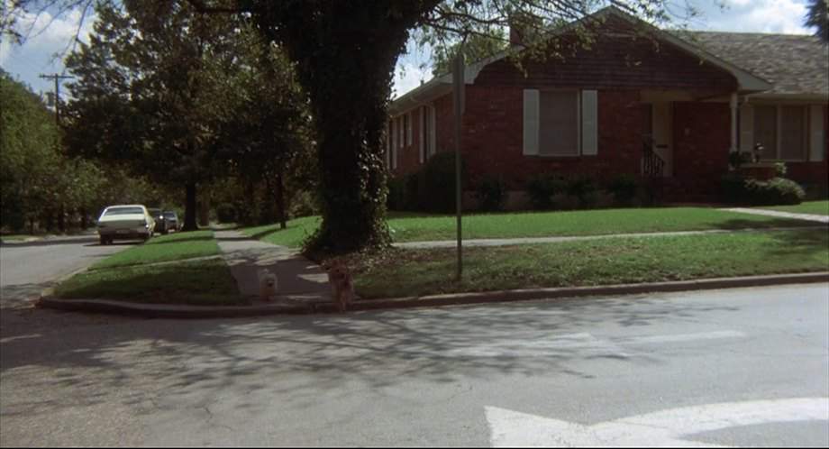 Chevrolet Chevy II Nova