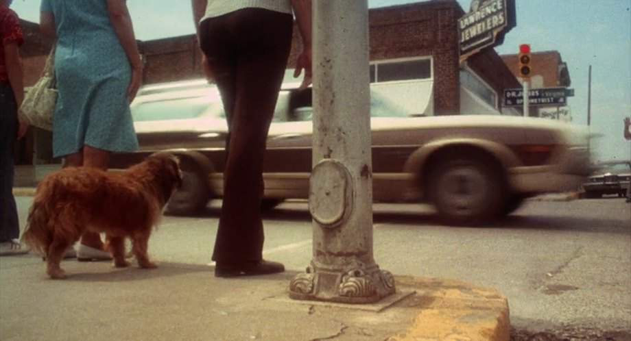 Ford Gran Torino Squire