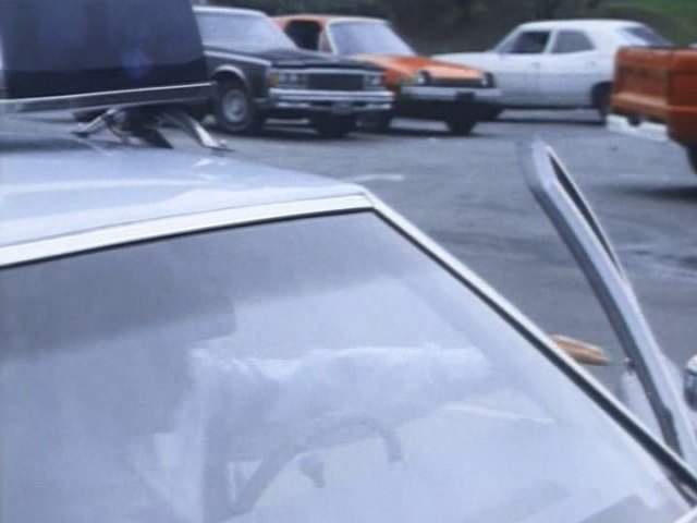 Chevrolet Caprice Estate