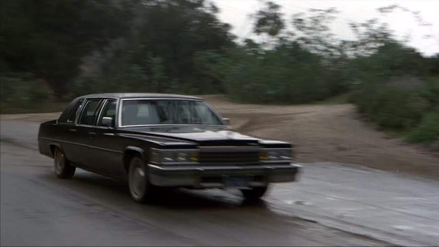 Cadillac Fleetwood Limousine