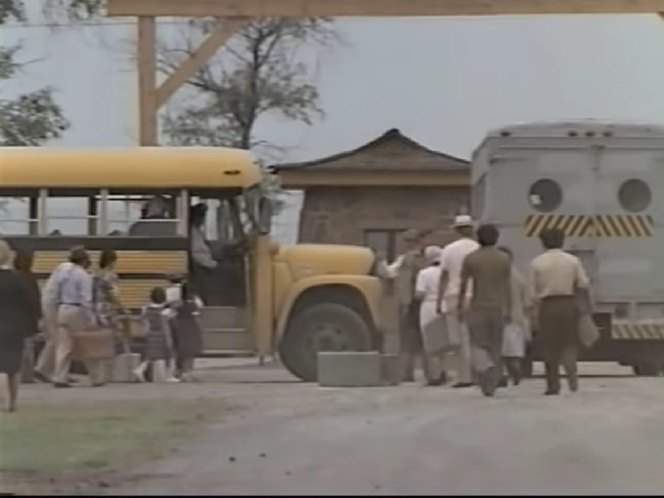 International Harvester Loadstar