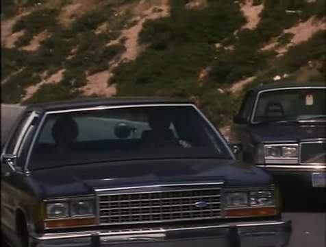Volvo 244