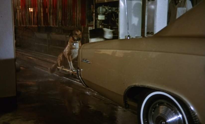 Chevrolet Chevelle Malibu