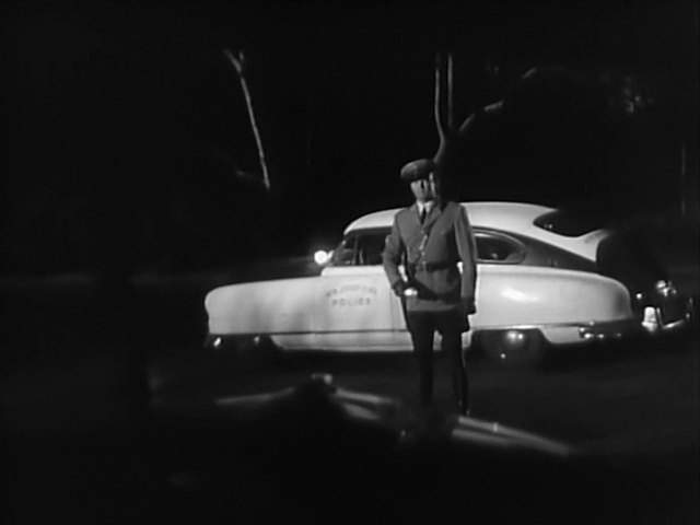 Nash Ambassador