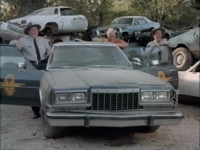 Dodge Diplomat