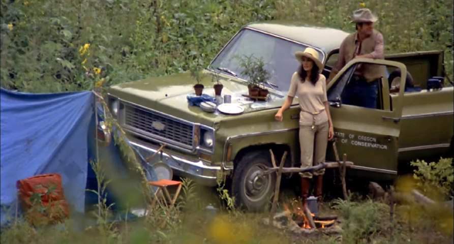 Chevrolet C-Series