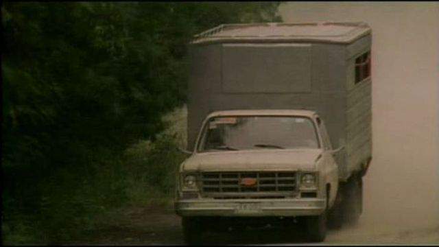 1977 Chevrolet C-30 in Score